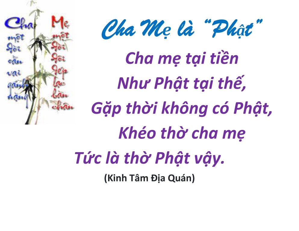 hieu duong cha me_vu lan bao hieu3.jpg